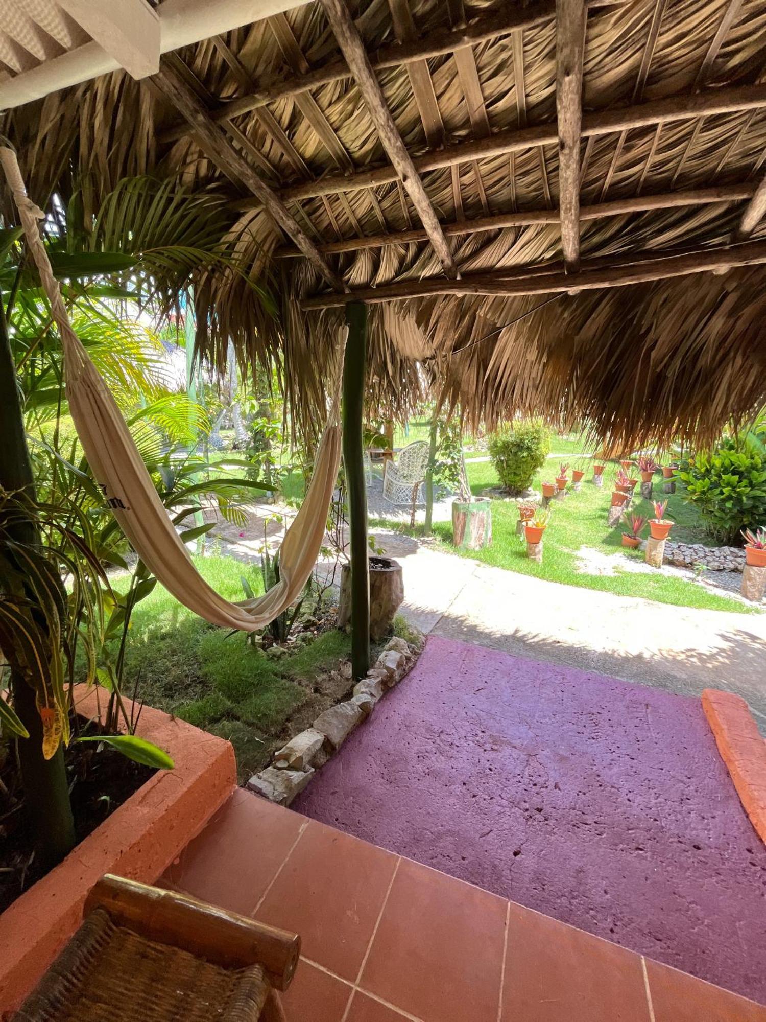 Arena Oceanview Hotel & La Terraza Restaurant Las Galeras Εξωτερικό φωτογραφία