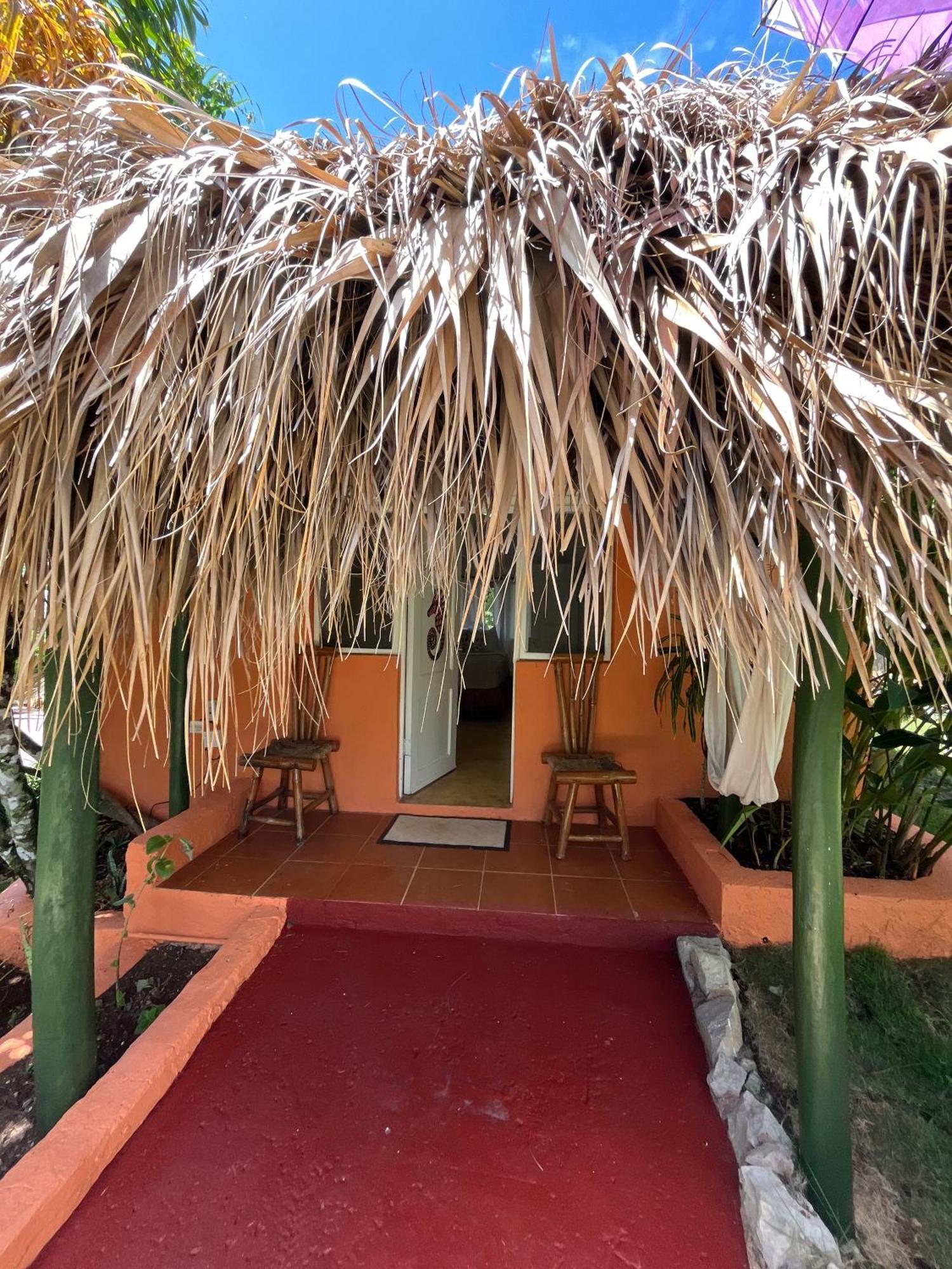 Arena Oceanview Hotel & La Terraza Restaurant Las Galeras Εξωτερικό φωτογραφία
